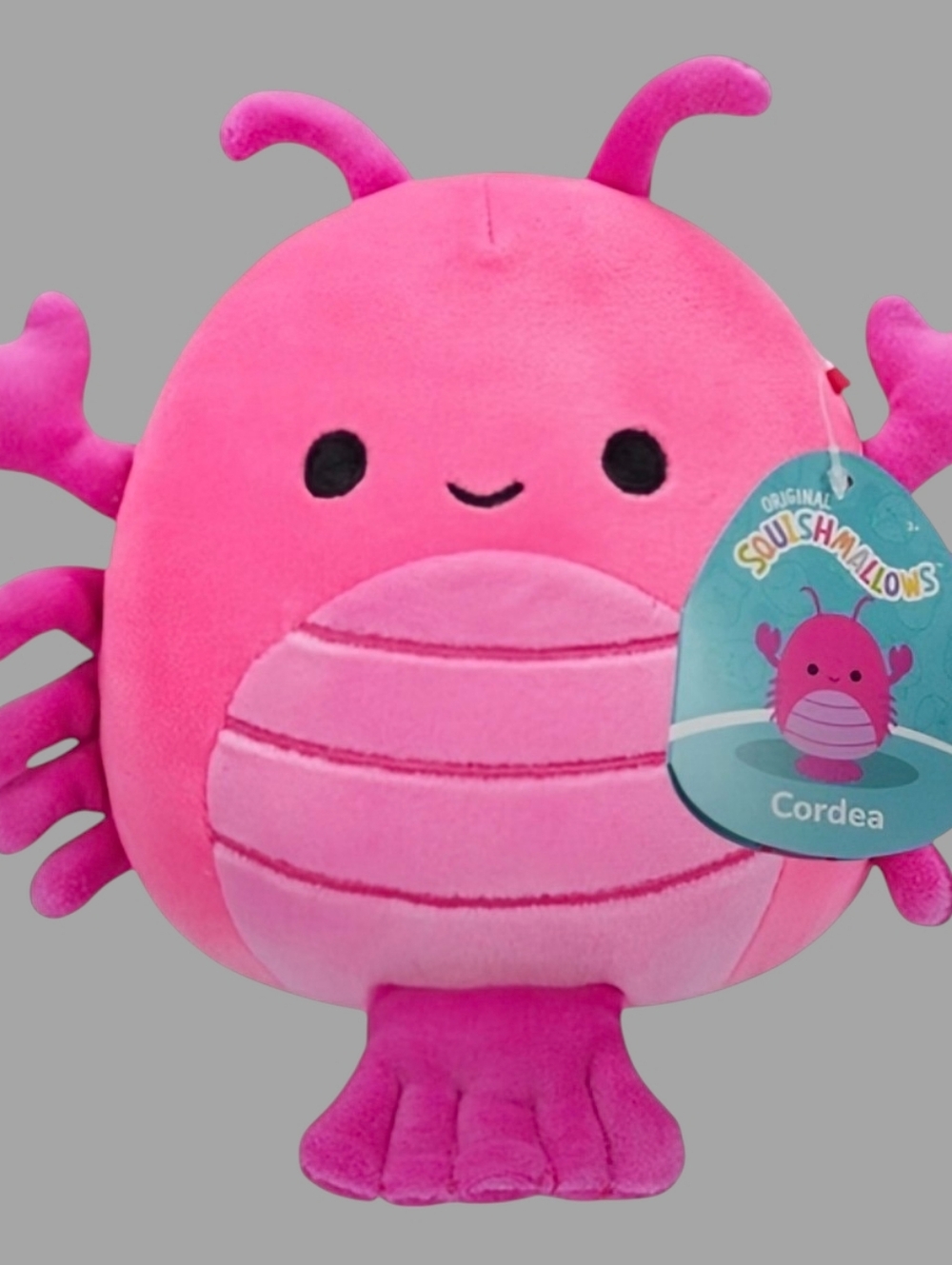 NEW Squishmallows Cordea the Pink Shrimp - Sealife Squad